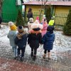 dbamy o ptaki zimą